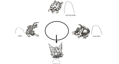 tigru-dragon-phoenix-testoasa-2