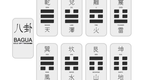 opt-trigrame-personale-3